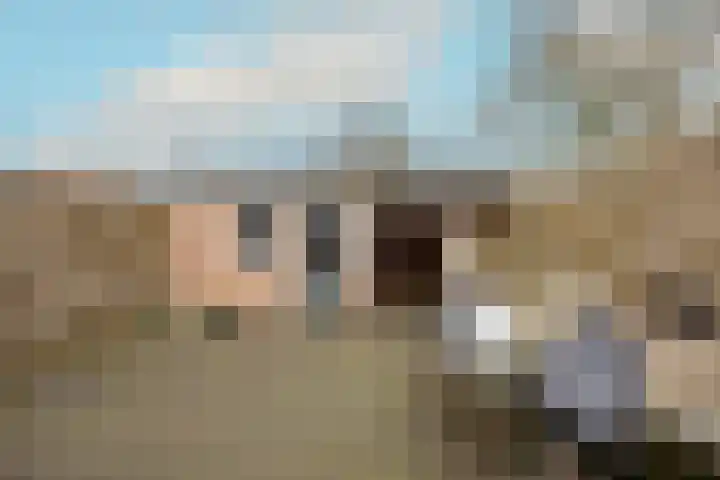 Kruisdistel 24 Cuijk thumbnail 31