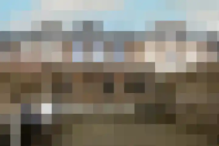 Kruisdistel 24 Cuijk thumbnail 32