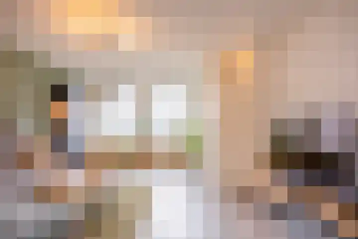 Kruisdistel 24 Cuijk thumbnail 6