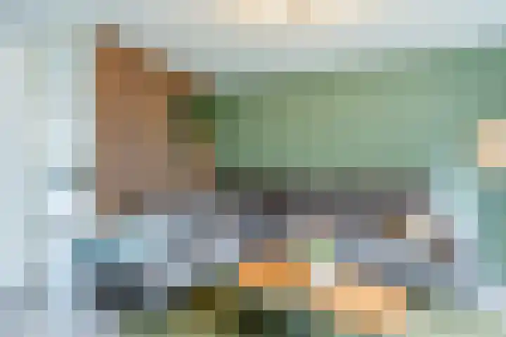 Kruisdistel 24 Cuijk thumbnail 9