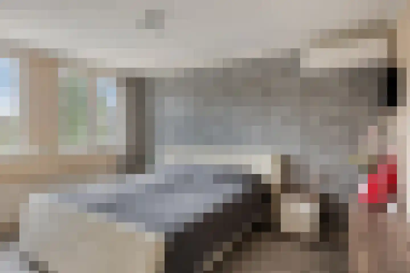 Kruisdistel 42 Cuijk thumbnail 12