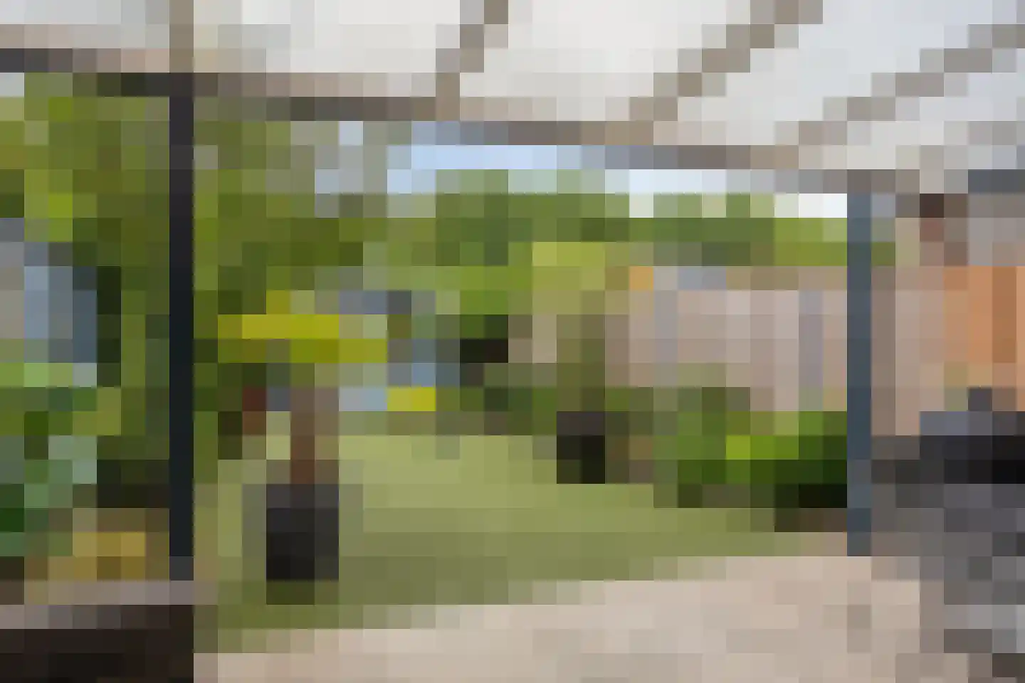 Kruisdistel 42 Cuijk thumbnail 20