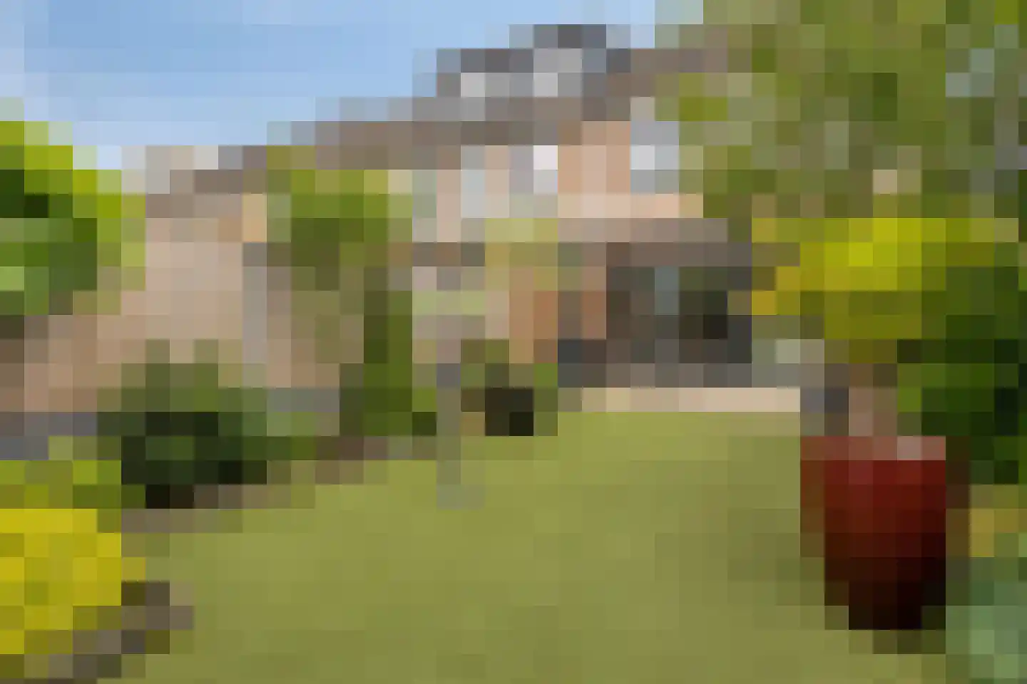 Kruisdistel 42 Cuijk thumbnail 21