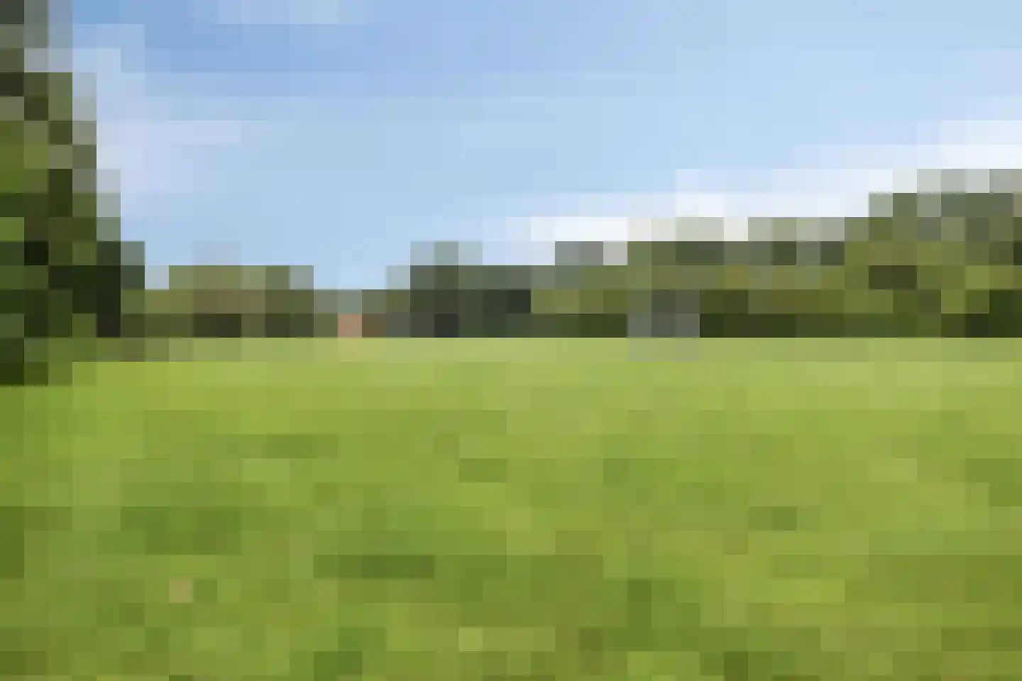 Kruisdistel 42 Cuijk thumbnail 22