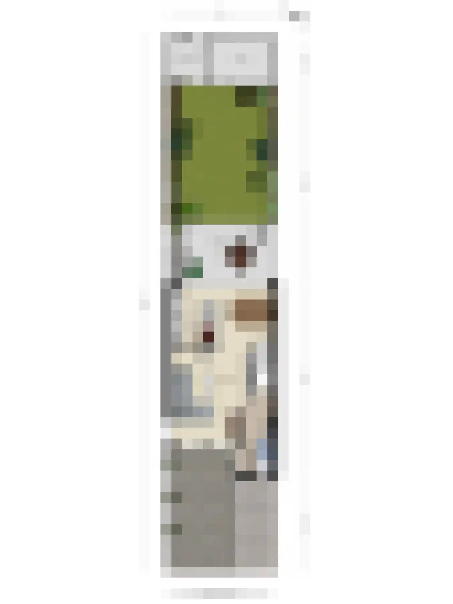 Kruisdistel 42 Cuijk thumbnail 25
