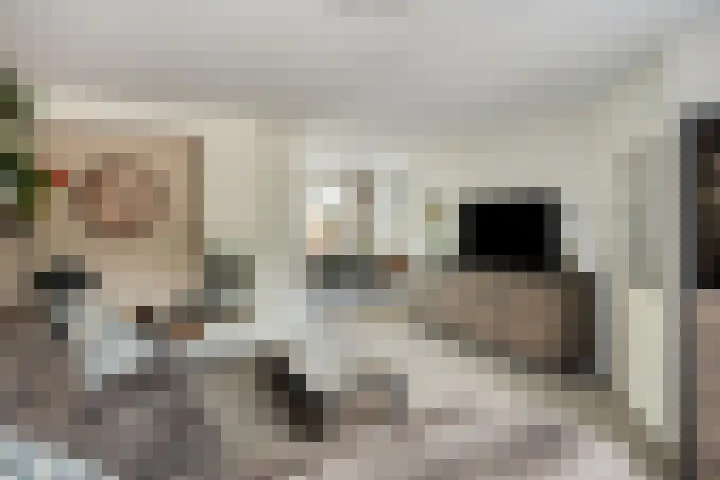 Kruisdistel 42 Cuijk thumbnail 7