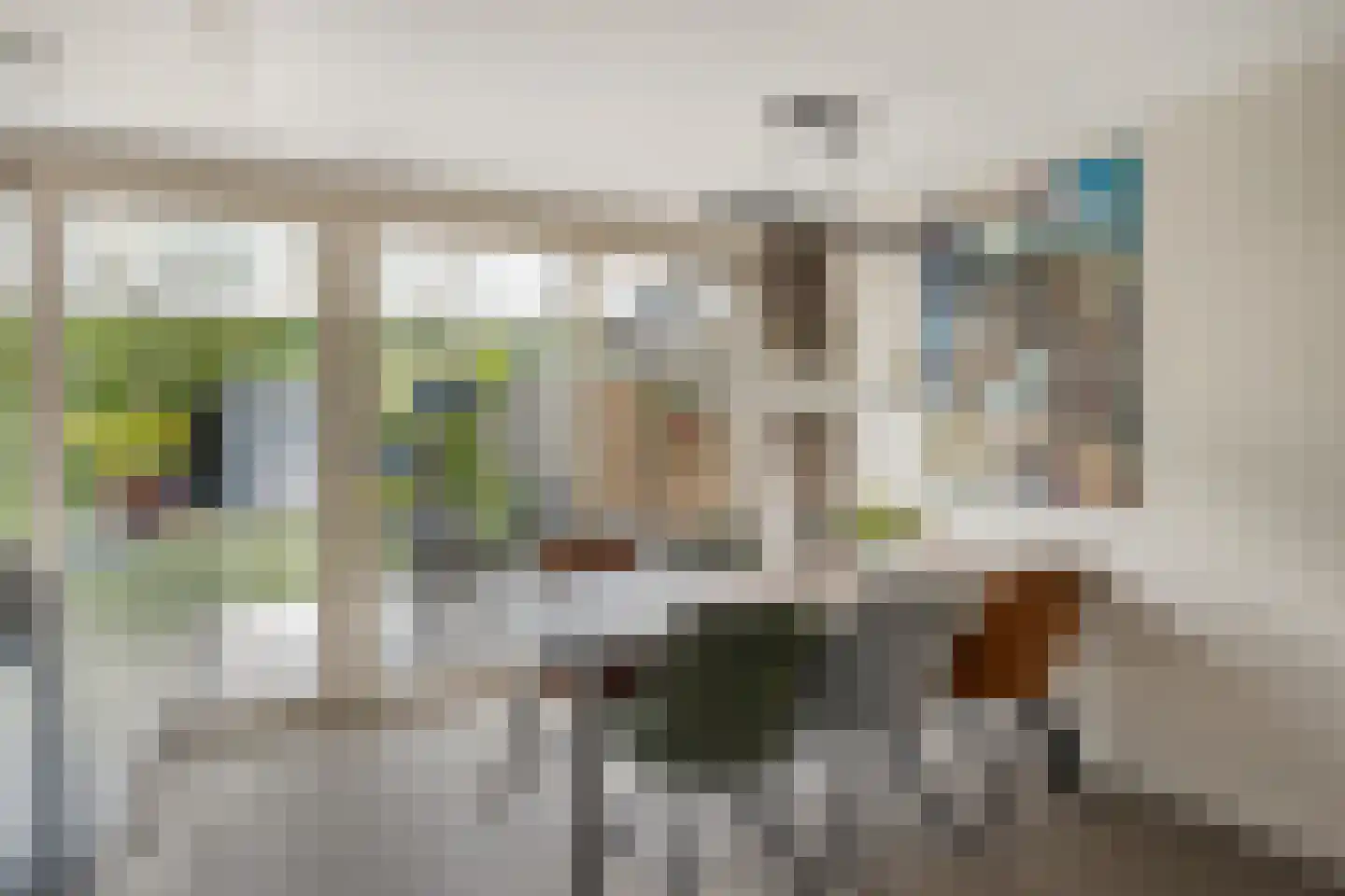 Kruisdistel 42 Cuijk thumbnail 8