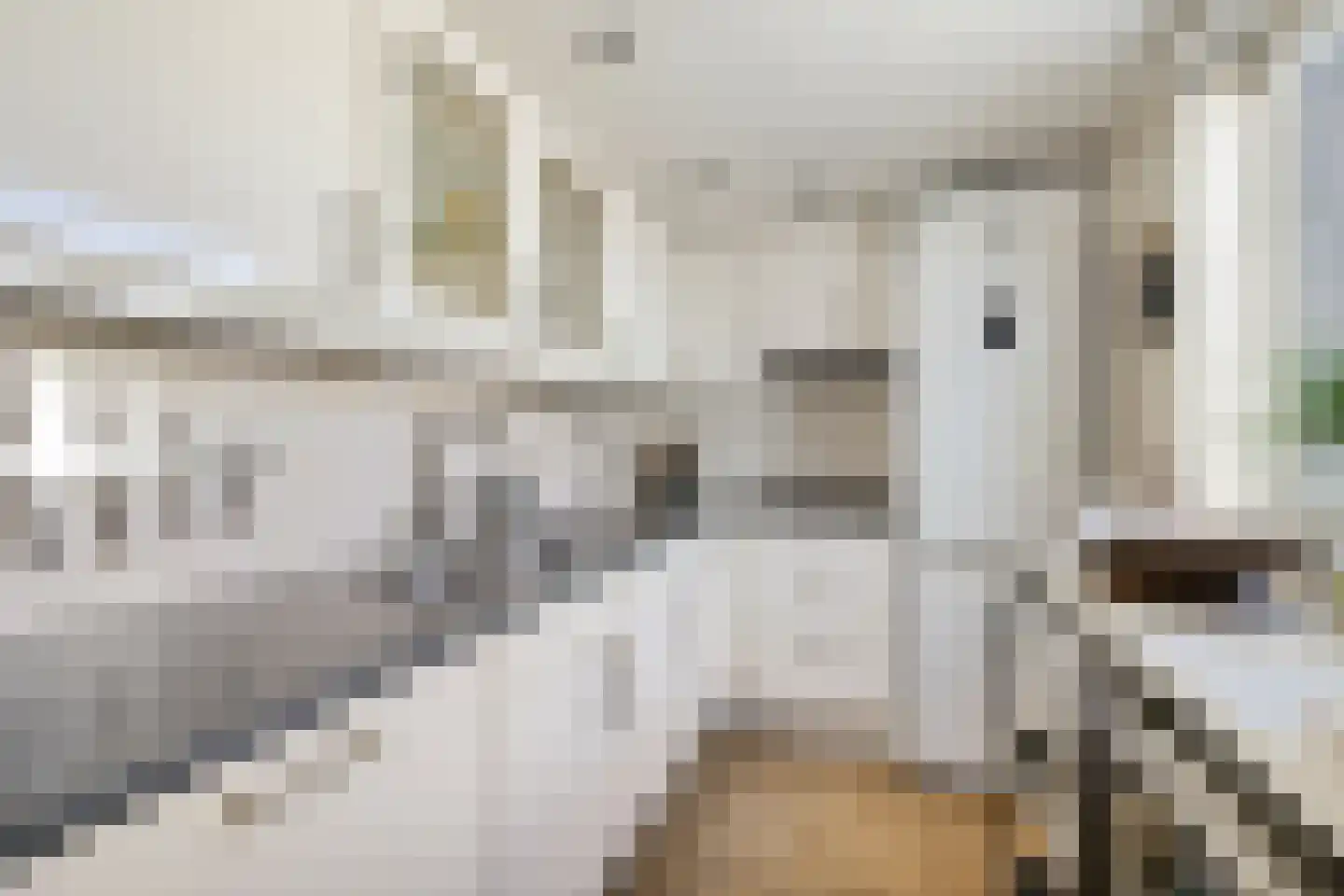 Kruisdwarsstraat 51 BS Utrecht thumbnail 21