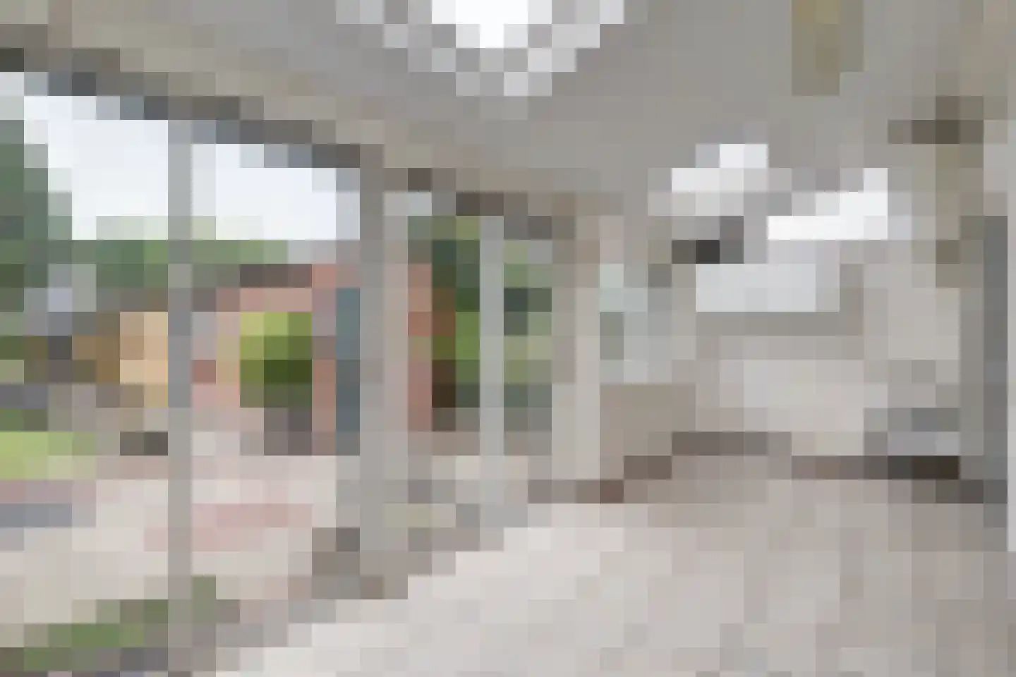 Kruisdwarsweg 23 Twello thumbnail 19