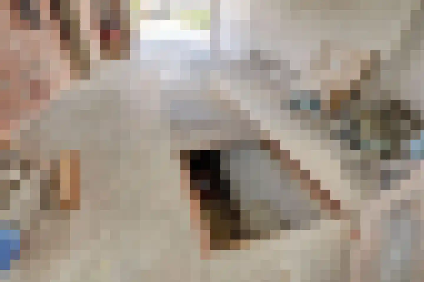 Kruisdwarsweg 23 Twello thumbnail 38