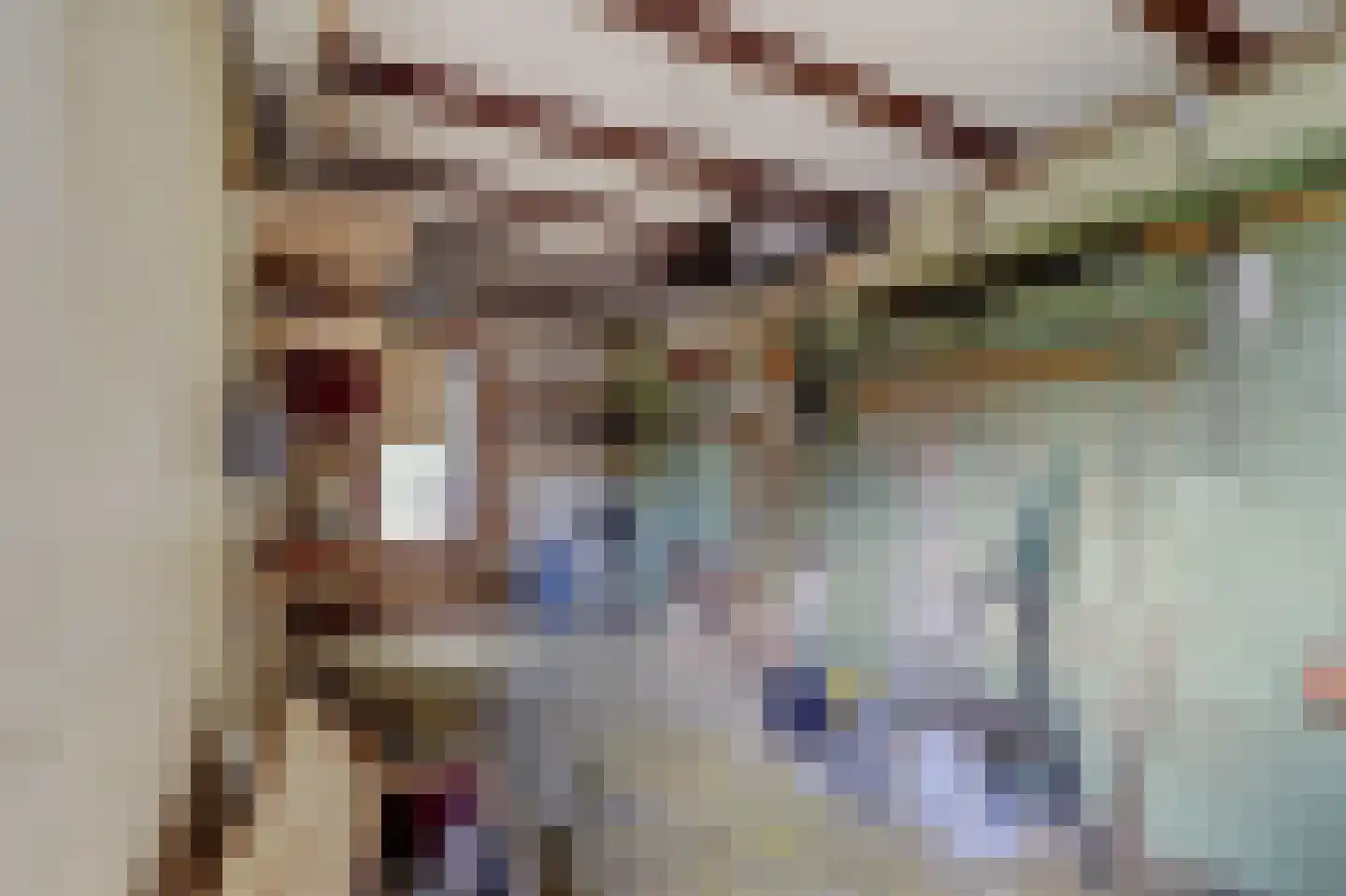 Kruisdwarsweg 23 Twello thumbnail 42