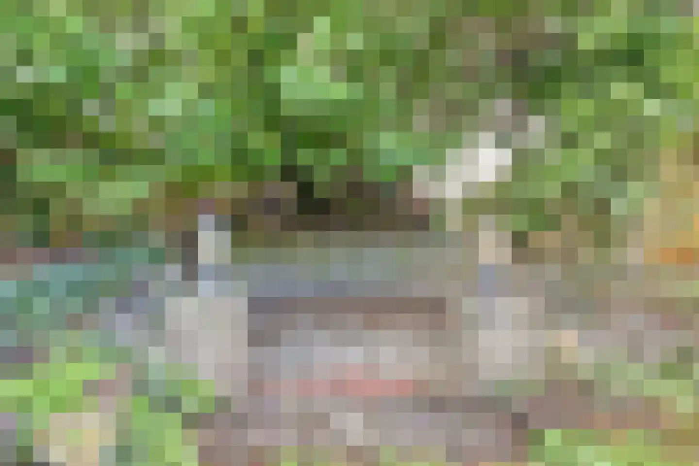 Kruisdwarsweg 23 Twello thumbnail 45