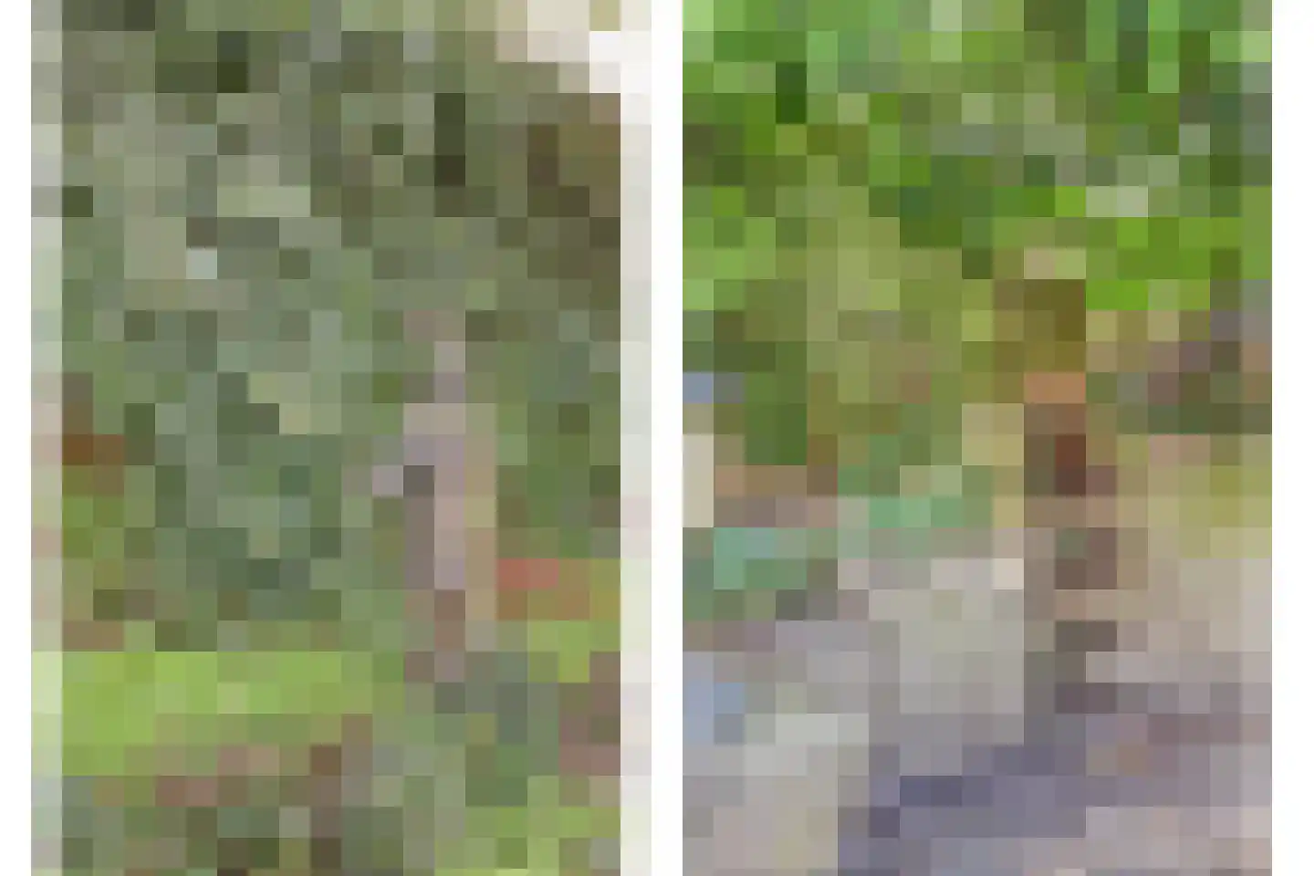 Kruisdwarsweg 23 Twello thumbnail 46