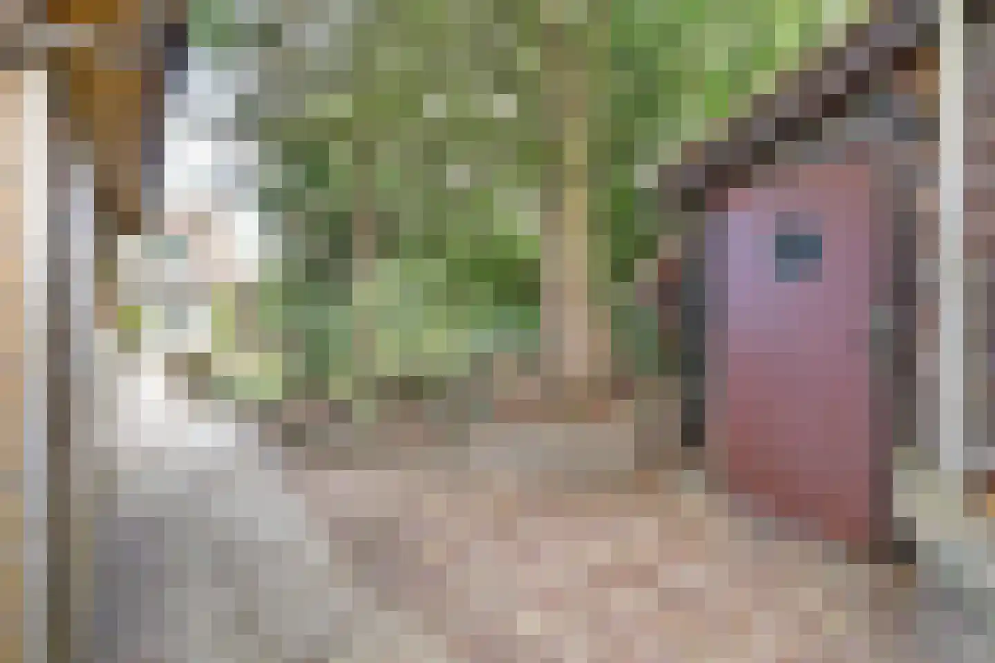 Kruisdwarsweg 23 Twello thumbnail 46