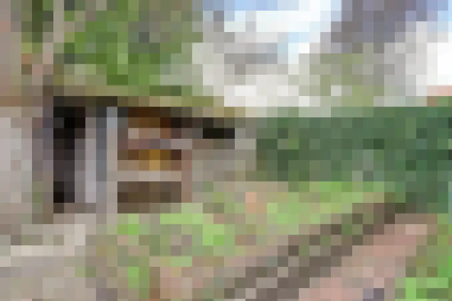 Kruisdwarsweg 23 Twello thumbnail 53