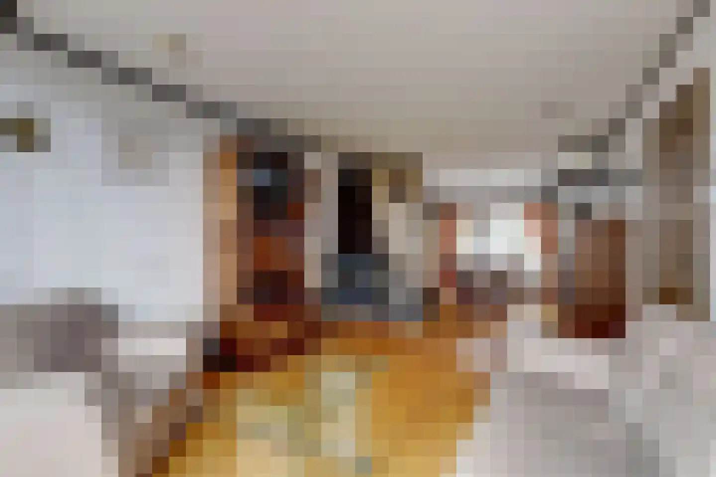 Kruisdwarsweg 23 Twello thumbnail 8