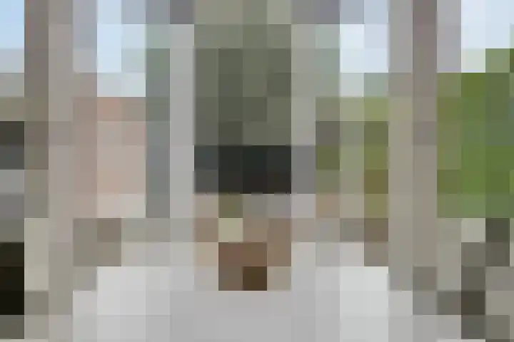 Kruisdwarsweg 29 Twello thumbnail 10