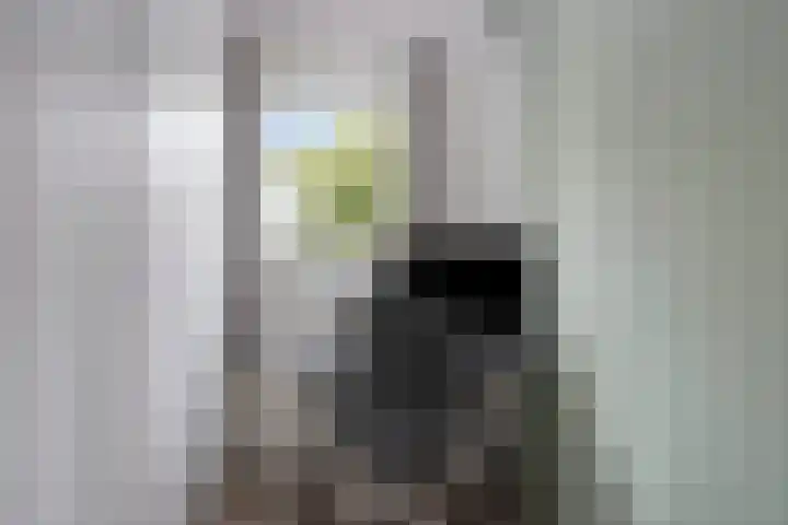 Kruisdwarsweg 29 Twello thumbnail 17