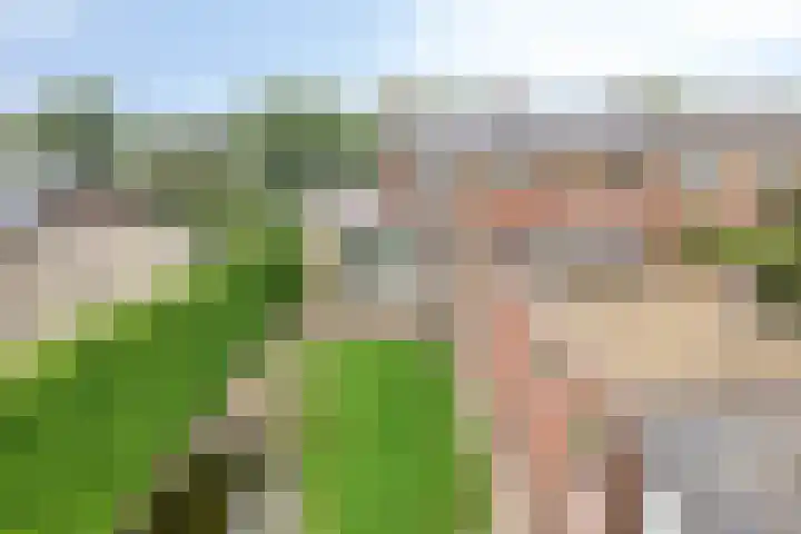 Kruisdwarsweg 29 Twello thumbnail 21