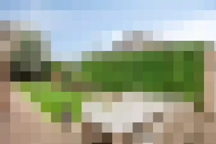 Kruisdwarsweg 29 Twello thumbnail 22