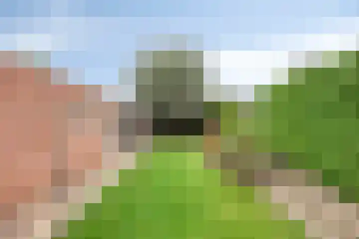 Kruisdwarsweg 29 Twello thumbnail 24