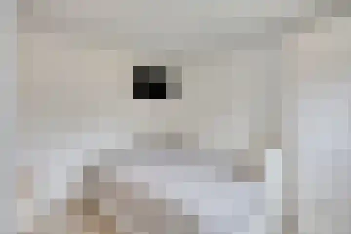 Kruisdwarsweg 29 Twello thumbnail 26