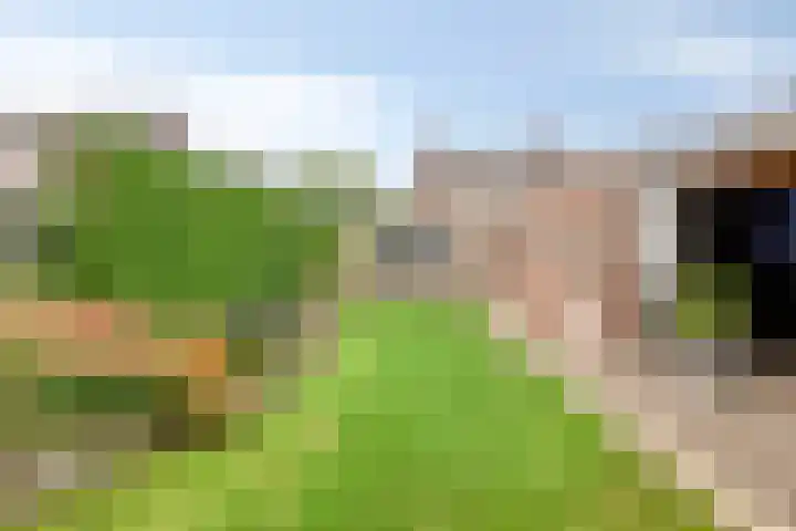 Kruisdwarsweg 29 Twello thumbnail 29