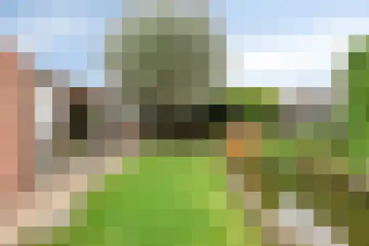 Kruisdwarsweg 29 Twello thumbnail 30