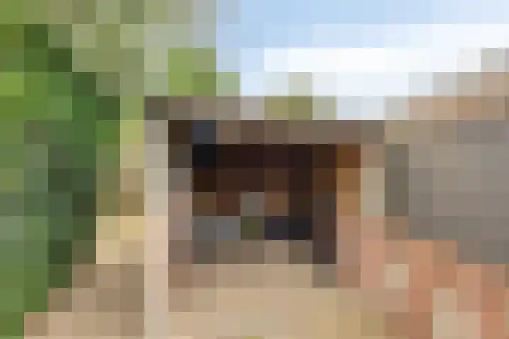 Kruisdwarsweg 29 Twello thumbnail 33