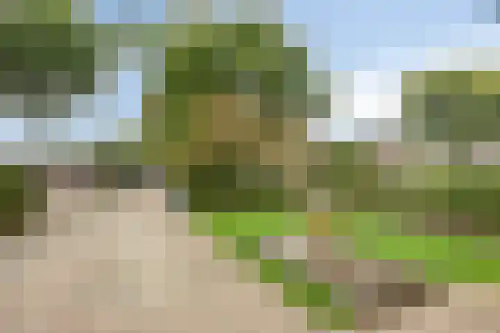 Kruisdwarsweg 29 Twello thumbnail 35