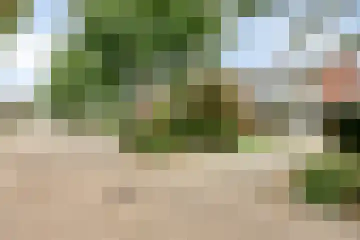 Kruisdwarsweg 29 Twello thumbnail 36