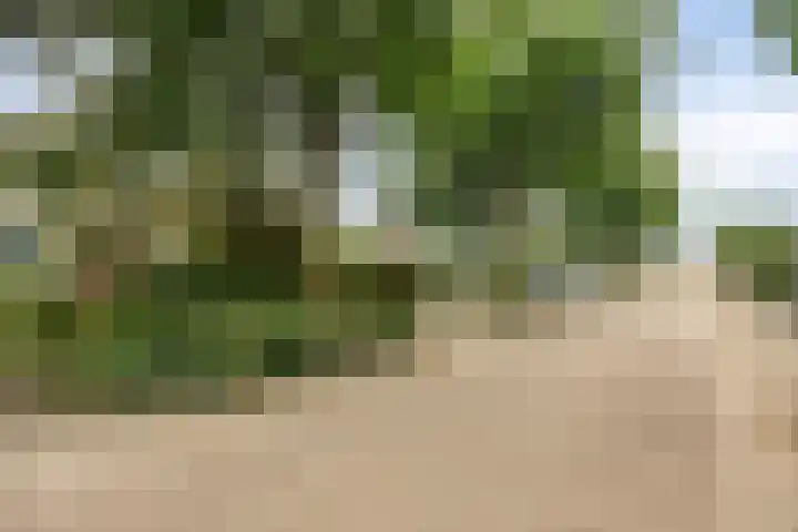 Kruisdwarsweg 29 Twello thumbnail 37