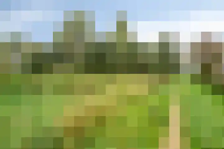 Kruisdwarsweg 29 Twello thumbnail 38