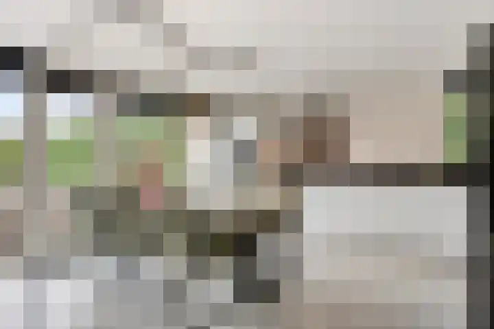 Kruisdwarsweg 29 Twello thumbnail 7
