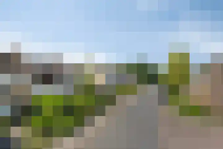 Kruiseik 16 Heeze thumbnail 5