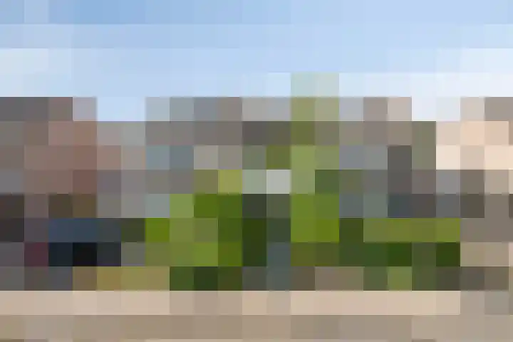 Kruiseik 16 Heeze thumbnail 6