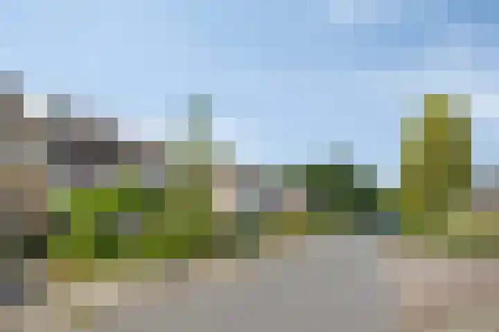Kruiseik 16 Heeze thumbnail 8