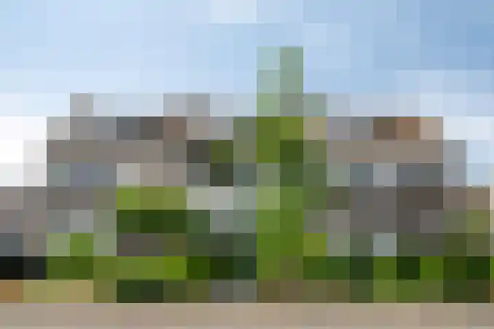 Kruiseik 16 Heeze thumbnail 9
