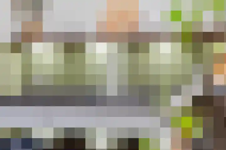 Kruiseik 8 Heeze thumbnail 12