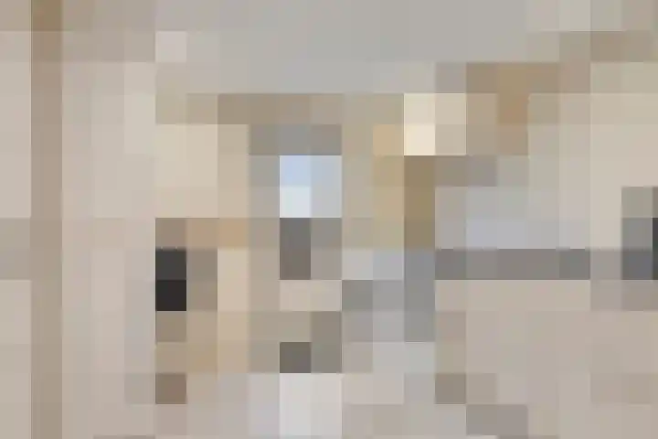 Kruiseik 8 Heeze thumbnail 13