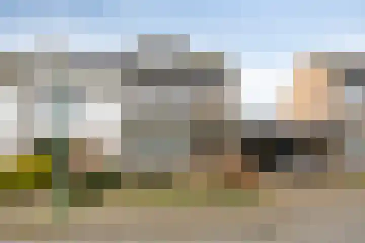 Kruiseik 8 Heeze thumbnail 27