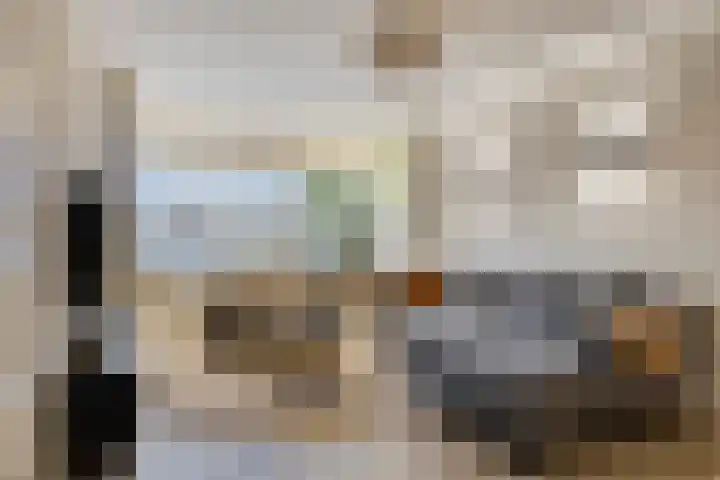 Kruiseik 8 Heeze thumbnail 5