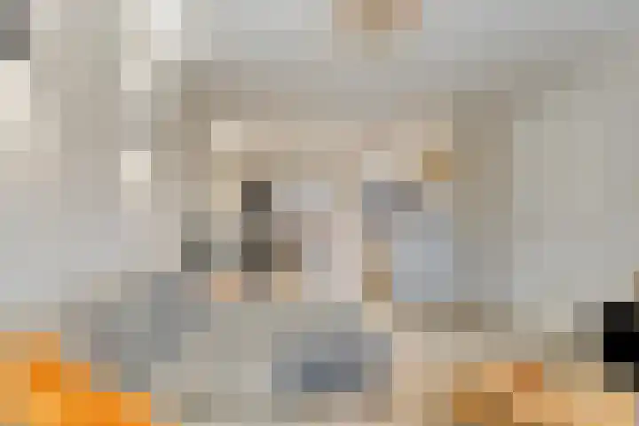 Kruiseik 8 Heeze thumbnail 7
