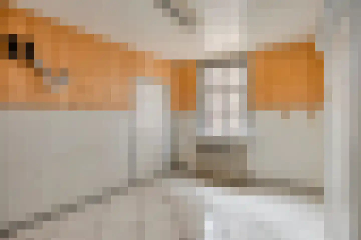 Kruiseind 10 Gemert thumbnail 15