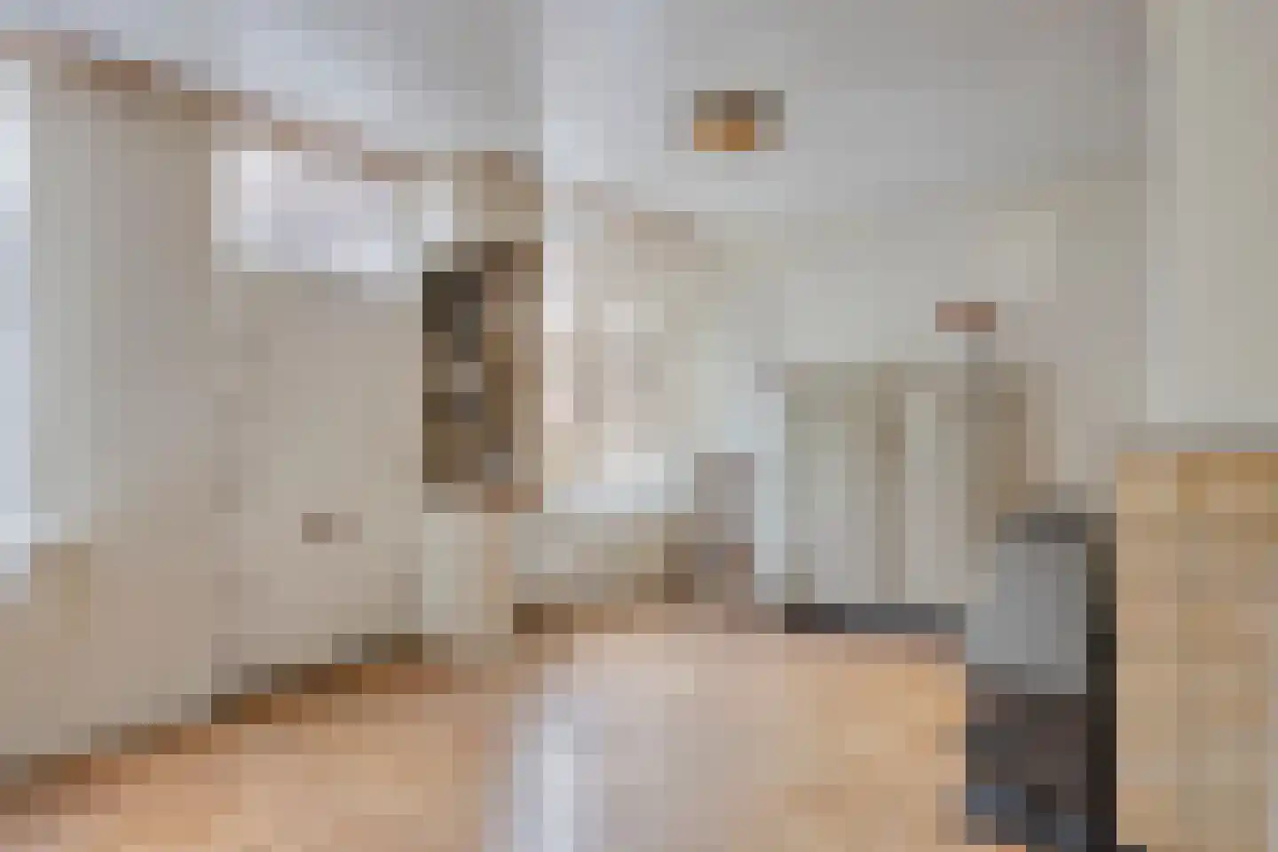 Kruiseind 10 Gemert thumbnail 19