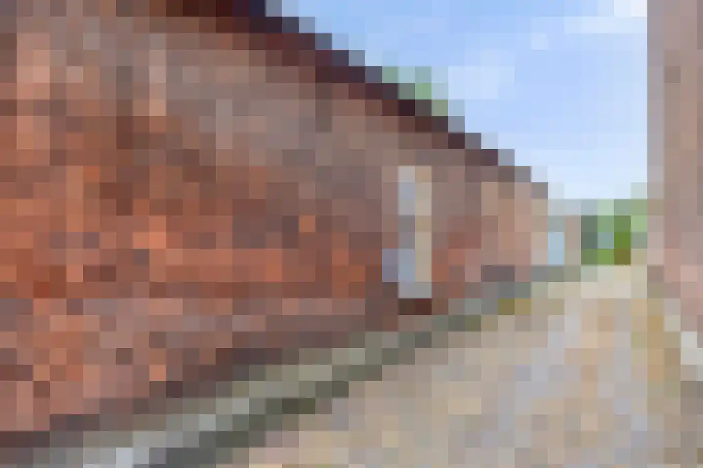 Kruiseind 10 Gemert thumbnail 30