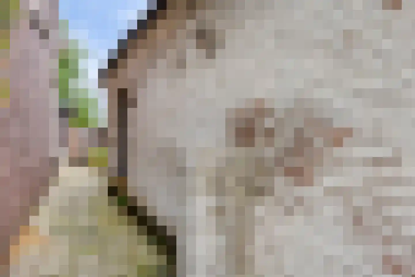 Kruiseind 10 Gemert thumbnail 32