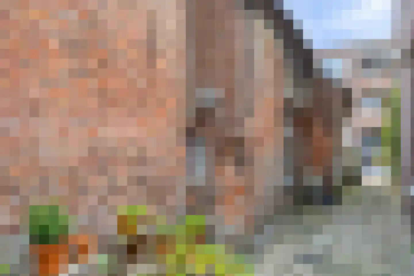 Kruiseind 10 Gemert thumbnail 33