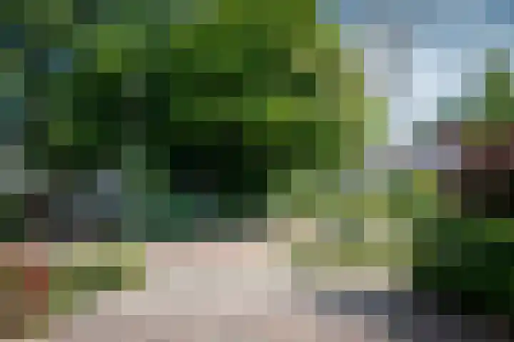 Kruisenkstraat 47 Brummen thumbnail 29