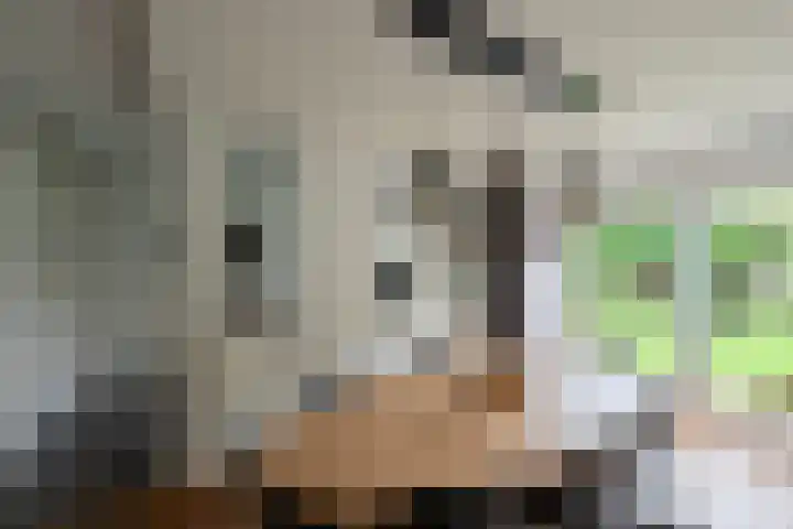 Kruisenkstraat 47 Brummen thumbnail 7
